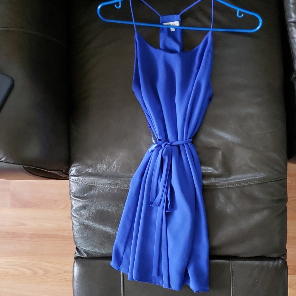 Naked Zebra blue dress